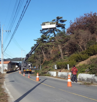 도로가에서 전문가와 크레인으로 조경 유지관리 공사